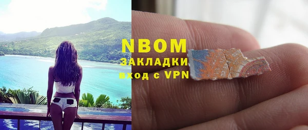 стафф Алзамай