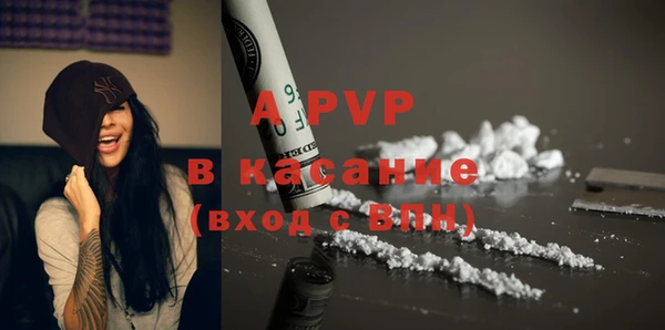 стафф Алзамай