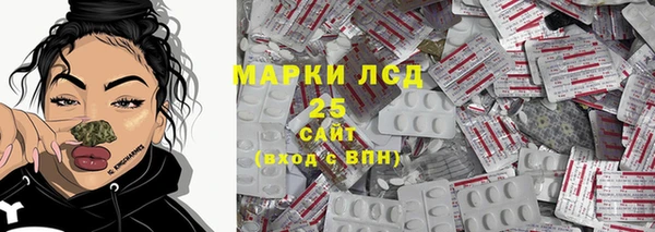 стафф Алзамай