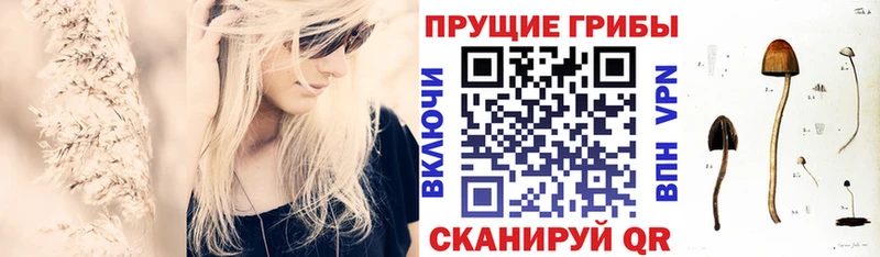 Галлюциногенные грибы прущие грибы  Заинск 