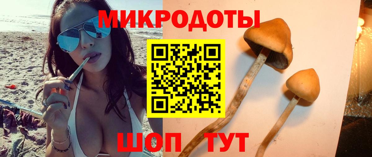 Галлюциногенные грибы Magic Shrooms  как найти закладки  Заинск  Вход с VPN 